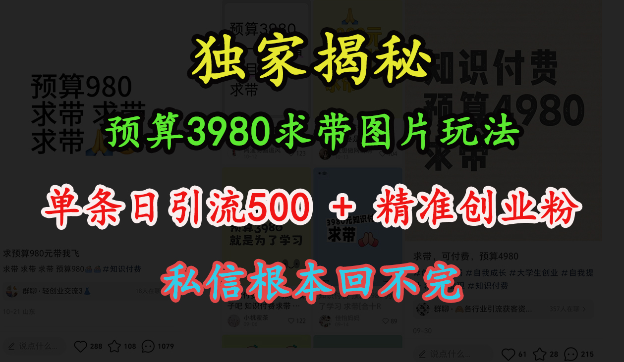 “小红书”预算3980求带 图片玩法，单条日引流500+精准创业粉，私信根本回不完-副业大全