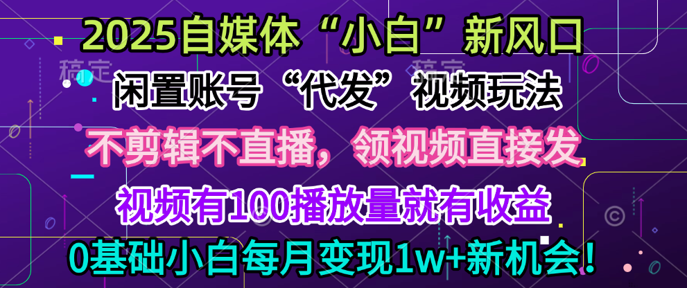 2025每月躺赚5w+新机会，闲置视频账号一键代发玩法，0粉不实名不剪辑，领了视频直接发，0基础小白也能日入300+-副业大全