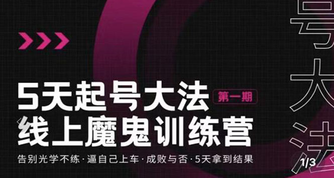 【副业项目3626期】五天起号魔鬼训练营，告别光学不练，逼自己上车，成败与否，5天拿到结果-副业大全
