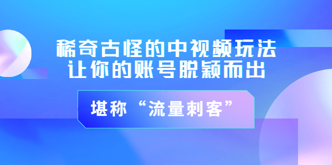 【副业项目3652期】稀奇古怪的中视频玩法，让你的账号脱颖而出，堪称“流量刺客”（图文+视频)-副业大全