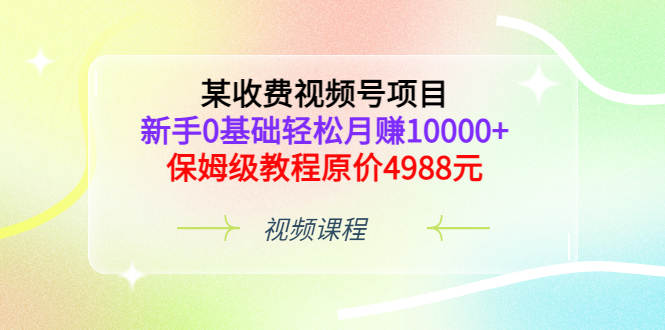 【副业项目3671期】某收费视频号项目，新手0基础轻松月收入过万的副业-副业大全