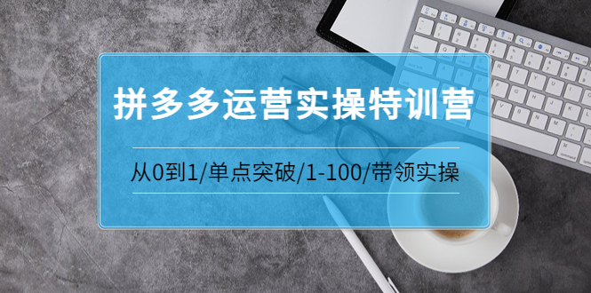 【副业项目3863期】拼多多运营实操特训营：拼多多直通车进阶优化技巧，拼多多如何操作利润最大化-副业大全