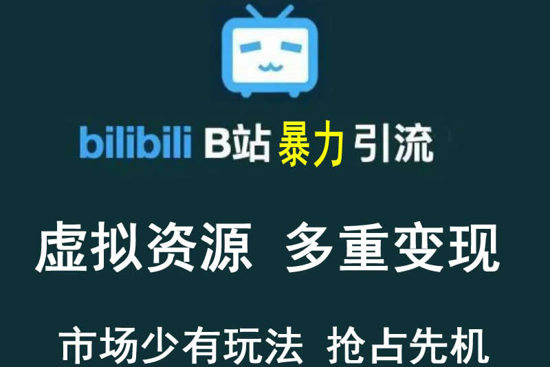 【副业项目3871期】虚拟资源引流方案：B站暴力引流 ，多重变现法-副业大全