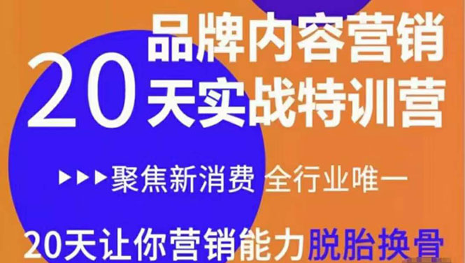 【副业项目3899期】《内容营销实操特训营》20天让你营销能力脱胎换骨（价值3999）-副业大全