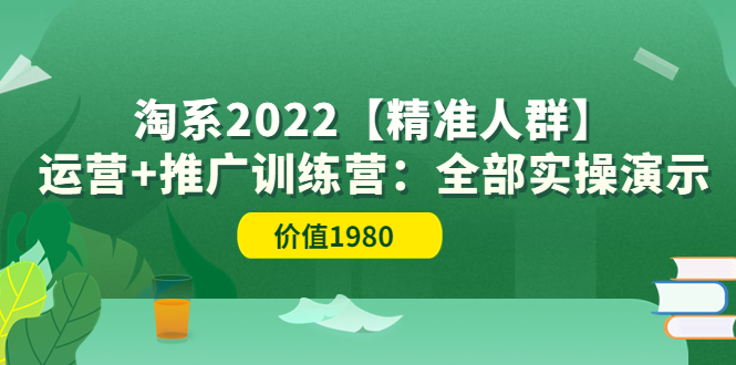【副业项目3941期】淘系2022【精准人群】运营+推广训练营：全部实操演示-副业大全