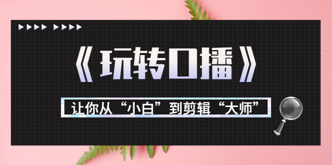 【副业项目3987期】月营业额700万+大佬教您《玩转口播》让你从“小白”到剪辑“大师”-副业大全