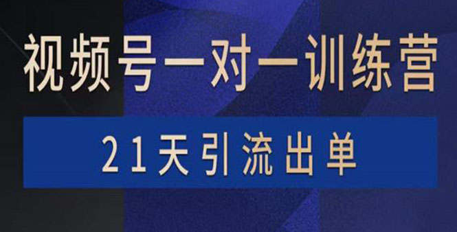 【副业项目4068期】视频号训练营：带货，涨粉，直播，游戏，四大变现新方向，21天引流出单-副业大全