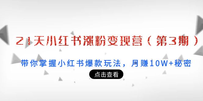 【副业项目4158期】21天小红书涨粉变现营（第3期）：带你掌握小红书爆款玩法，月赚10W+秘密-副业大全