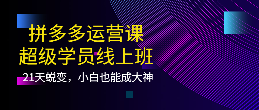 【副业项目4260期】拼多多运营课：超级学员线上班，21天蜕变，小白也能成大神-副业大全