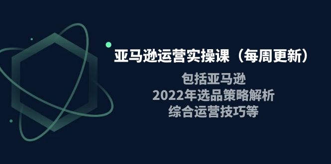 【副业项目4284期】亚马逊运营实操课：包括亚马逊2022选品策略解析，综合运营技巧等-副业大全