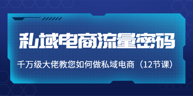 【副业项目4297期】私域电商流量密码：千万级大佬教您如何做私域电商（12节课）-副业大全