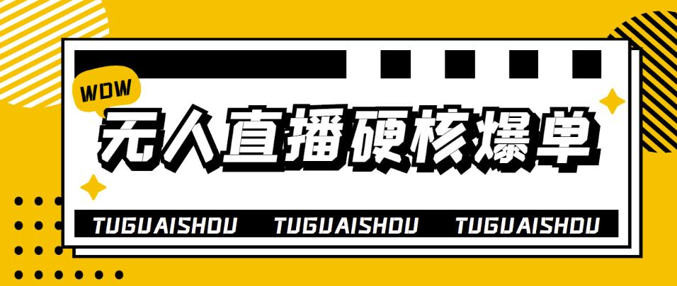 【副业项目4299期】大飞无人直播硬核爆单技术，轻松玩转无人直播，暴利躺赚-副业大全