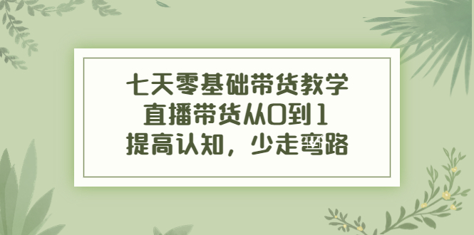 【副业项目4305期】七天零基础带货教学：直播带货从0到1，提高认知，少走弯路-副业大全