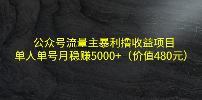 【副业项目4325期】公众号流量主暴利撸收益项目，单人单号月稳赚5000+（价值480元-副业大全