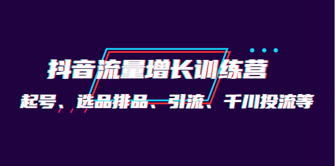 【副业项目4335期】月销1.6亿实操团队·抖音流量增长训练营：起号、选品排品、引流 千川投流等-副业大全