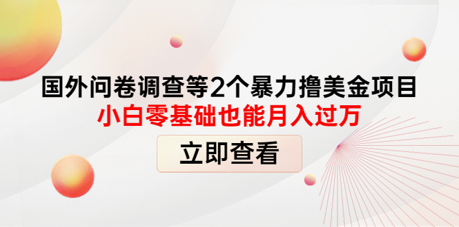 【副业项目4372期】国外问卷调查等2个暴力撸美金项目，小白零基础也能月入过万-副业大全
