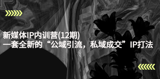 【副业项目4405期】新媒体IP内训营(12期)：一套全新的“公域引流，私域成交”IP打法，直接带走-副业大全