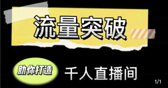 【副业项目4460期】直播运营实战视频课，助你打造千人直播间（14节视频课）-副业大全