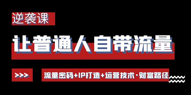 【副业项目4534期】让普通人自带流量的逆袭课：流量密码+IP打造+运营技术·财富路径-副业大全