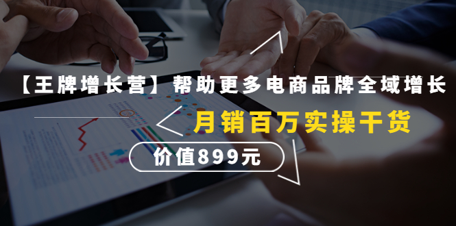 【副业项目4547期】【王牌增长营】帮助更多电商品牌全域增长，月销百万实操干货，价值899元-副业大全