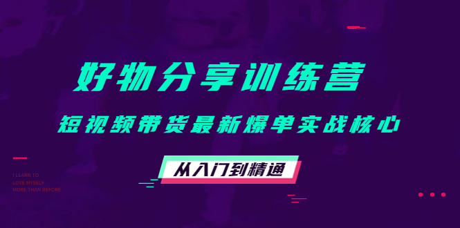 【副业项目4585期】好物分享训练营：短视频带货最新爆单实战核心，从入门到精通-副业大全