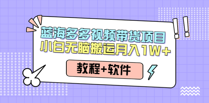 【副业项目4612期】人人都能操作的蓝海多多视频带货项目 小白无脑搬运月入10000+（教程+软件）-副业大全