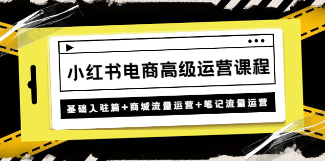 【副业项目4879期】小红书电商高级运营课程：基础入驻篇+商城流量运营+笔记流量运营-副业大全