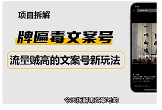 【副业项目4912期】2023抖音快手毒文案新玩法，牌匾文案号，起号快易变现-副业大全