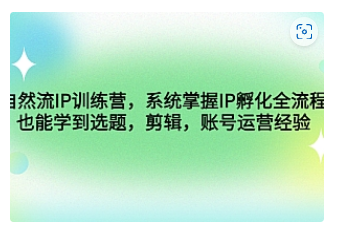 【副业项目4920期】自然流IP训练营，系统掌握IP孵化全流程，也能学到选题，剪辑，账号运营经验-副业大全