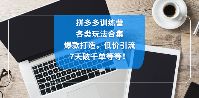 【副业项目4925期】拼多多训练营：各玩法合集，爆款打造，低价引流，7天破千单等等-副业大全