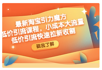 【副业项目4943期】最新淘宝引力魔方低价引流实操：小成本大流量，低价引流快速拉新收割-副业大全