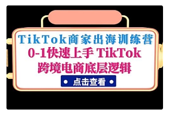 【副业项目5013期】TikTok商家出海训练营：0-1快速上手 TikTok跨境电商底层逻辑-副业大全