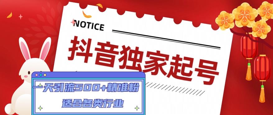 【副业项目5106期】抖音独家起号，一天引流500+精准粉，适合各类行业（9节视频课）-副业大全