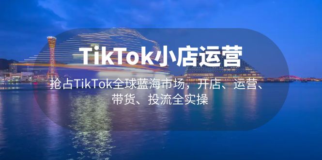 【副业项目5340期】TikTok小店运营 抢占TikTok全球蓝海市场，开店、运营、带货、投流全实操-副业大全