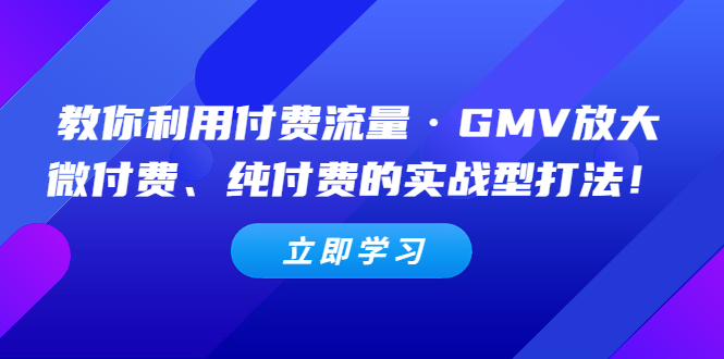 【副业项目5265期】教你利用付费流量·GMV放大，微付费、纯付费的实战型打法-副业大全