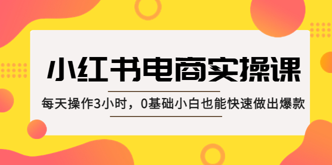 【副业项目5332期】小红书·电商实操课：每天操作3小时，0基础小白也能快速做出爆款-副业大全