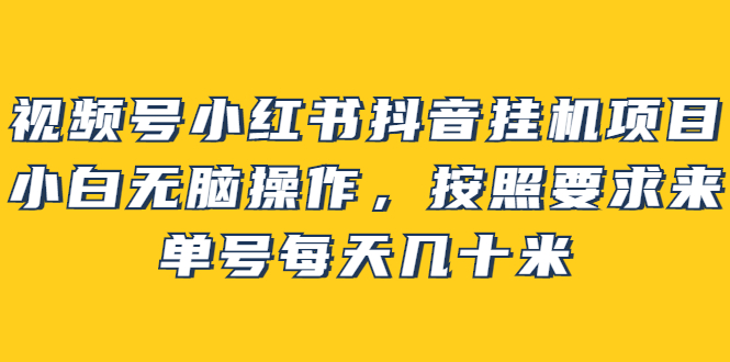 【副业项目2904期】视频号小红书抖音挂机项目，小白无脑操作，按照要求来，单号每天几十米-副业大全