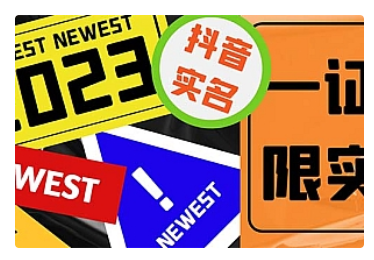 【副业项目5427期】外面收费1200最新抖音一证无限实名技术 无视限制封禁【详细玩法视频教程】-副业大全