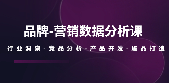 【副业项目5644期】品牌-营销数据分析课，行业洞察-竞品分析-产品开发-爆品打造-副业大全