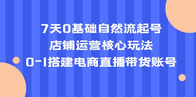【副业项目5468期】7天0基础自然流起号，店铺运营核心玩法，0-1搭建电商直播带货账号-副业大全