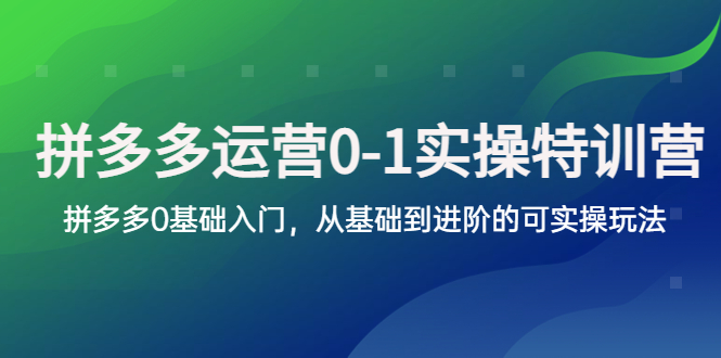 【副业项目5801期】拼多多-运营0-1实操训练营，拼多多0基础入门，从基础到进阶的可实操玩法-副业大全