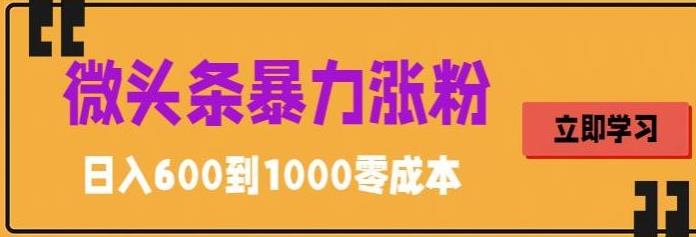 【副业项目5970期】微头条暴力涨粉技巧搬运文案就能涨几万粉丝，简单0成本，日赚600-副业大全
