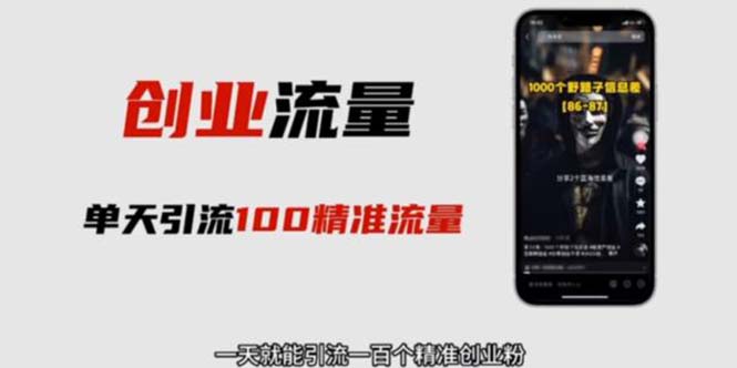 【副业项目5897期】自媒体音频加图文制作视频 一天引流一百个精准创业粉【音频软件+图片素材】-副业大全