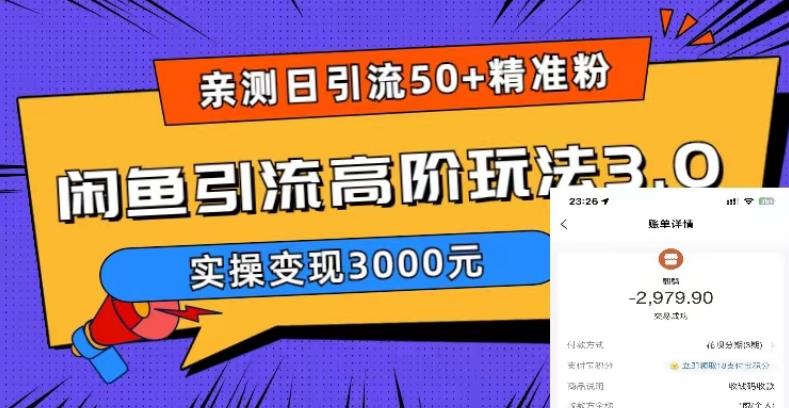 【副业项目5795期】实测日引50+精准粉，闲鱼引流高阶玩法3.0，实操变现3000元-副业大全