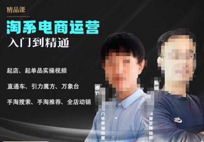【副业项目6098期】2023手淘搜索实操课+体系化课程，​起店起单品实操视频课程-副业大全