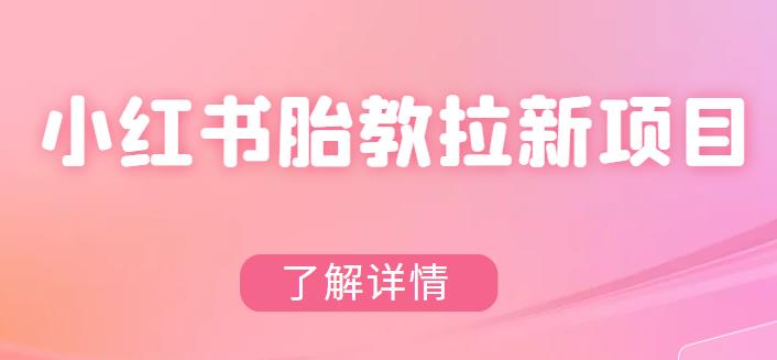 【副业项目6099期】小红书胎教网盘拉新项目，可在私域变现两次（作品制作教程+素材）-副业大全