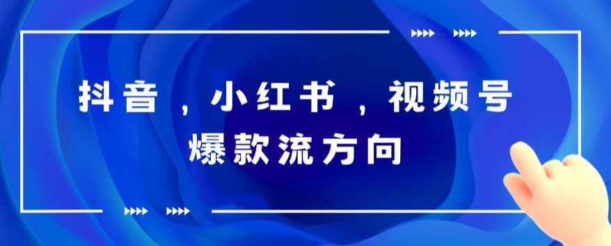 【副业项目6104期】抖音，小红书，视频号爆款流视频制作，简单制作掌握流量密码-副业大全