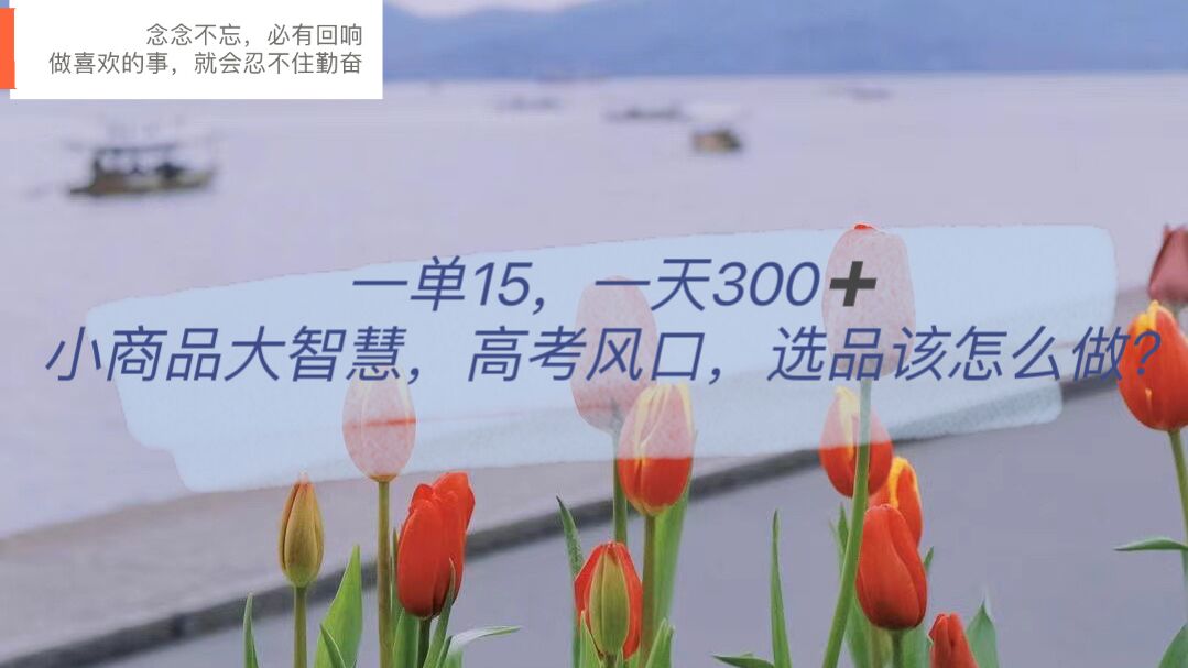 【副业项目6119期】一单15，一天300+，小商品大智慧，高考风口，选品该怎么布局-副业大全