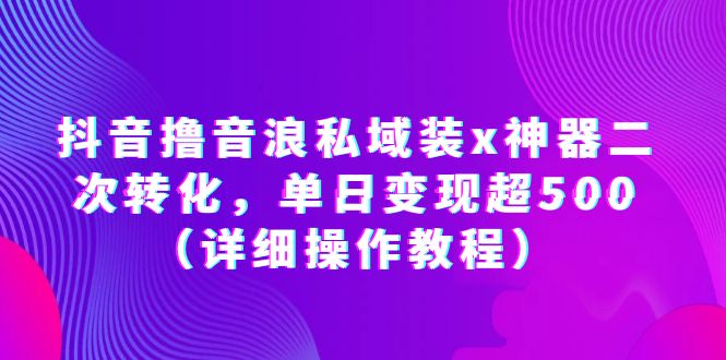 【副业项目6229期】抖音撸音浪私域装x神器二次转化，单日变现超500（详细操作教程）-副业大全