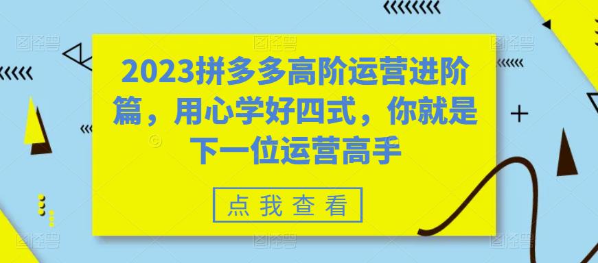 【副业项目6241期】2023拼多多高阶运营进阶篇，用心学好四式，你就是下一位运营高手-副业大全